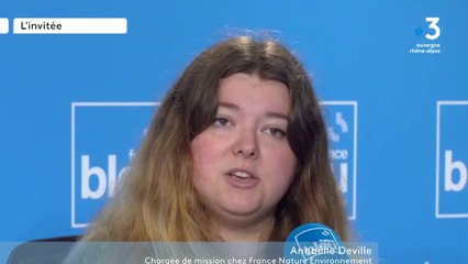 Pollution lumineuse : en Isère, France Nature Environnement prône "un éclairage raisonné"