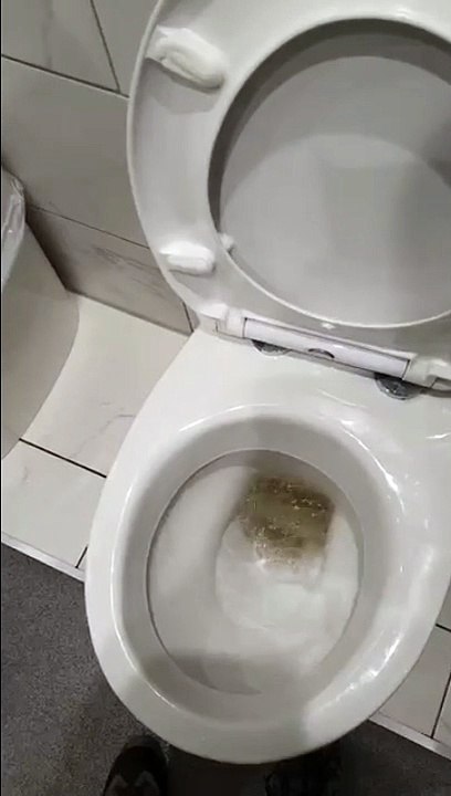 Ce bouton d'urgence aux toilettes est très spécial