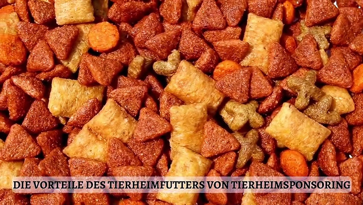 Tierheimsponsoring Erfahrungen: Glückliche Tiere durch Qualitäts-Futter
