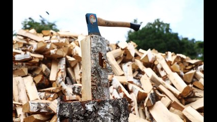 VIDEO: Le bois de chauffage a flambé mais les pros sont débordés