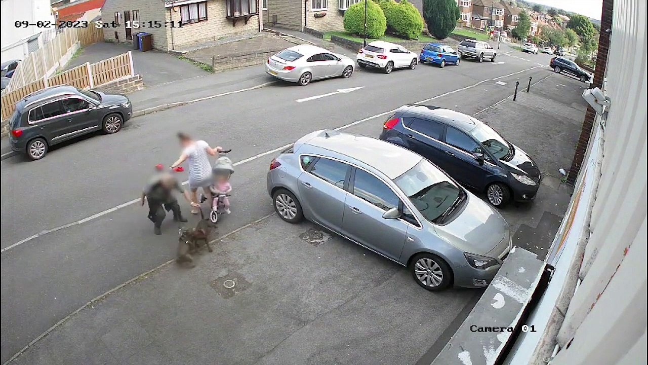 Woman protects pet and young child from 'dangerous dog' on Richmond Road, Sheffield