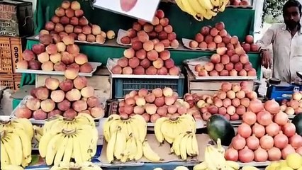 krishnegowdana aane 2nd puc explained in kannada _ summary in kannada(360P)