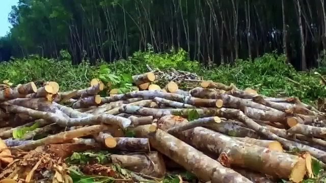 Valparai abhivrudhi tanda Durantha kannada 2 puc lesson explained in kannada__ summary in kannada(360P)