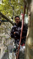 Thomas Brail : le combat dans les arbres