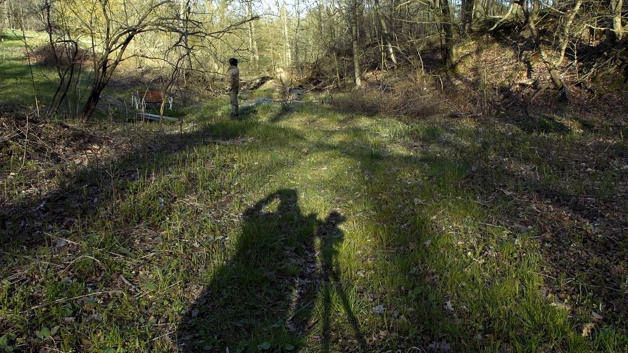 While the Green Grass Grows Trailer OV