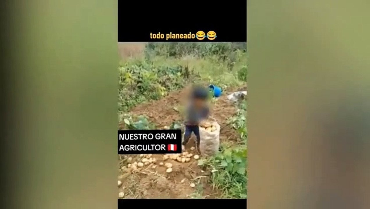 Niño sorprende al decir que de grande desea ser...