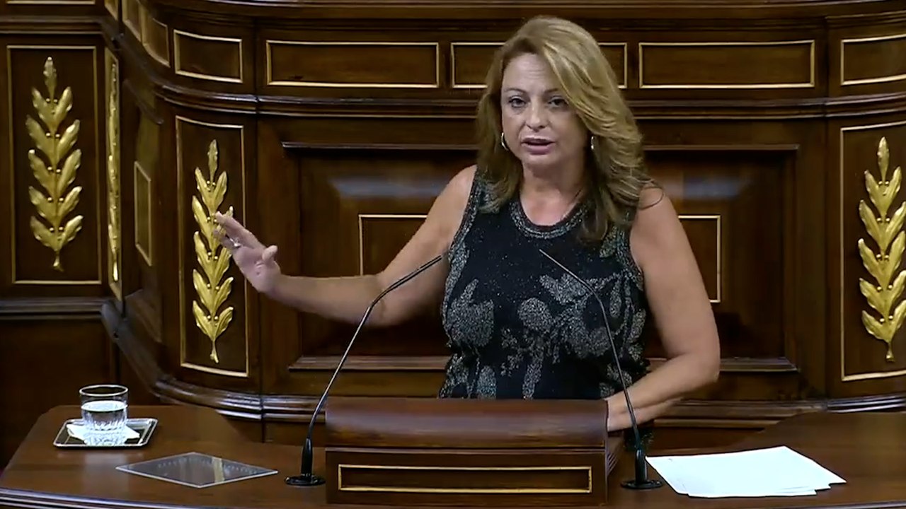 Cristina Valido (Coalición Canaria): "Lo que no...