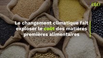 Le coût des matières premières alimentaires explose en raison du changement climatique