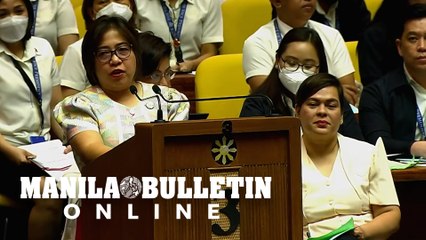 'Any violent reaction?': OVP submits to Congress' wisdom, discretion on planned reallocation of CIFs