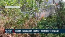 Tak Tanggung-Tanggung, 1.500 Hektare Hutan dan Lahan Gambut di Kubu Raya Kalbar Dilahap Api!
