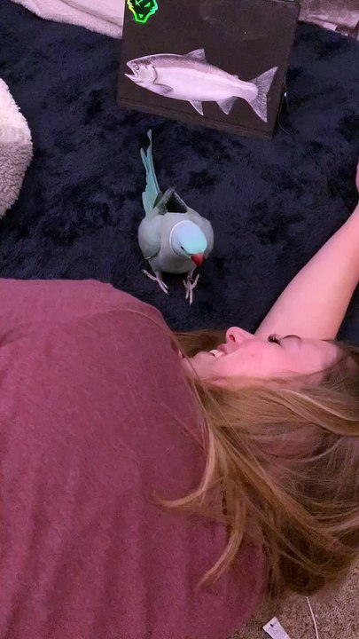Bird Says Come On