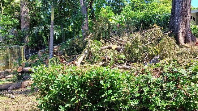 Nuestras Regiones: Hojancha.