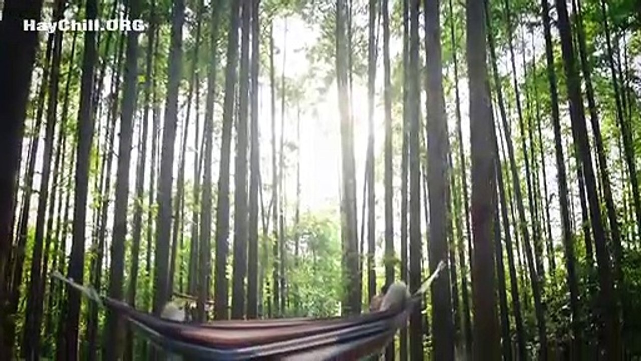 25 Giờ Yêu Đương Tập 12 Thuyết Minh