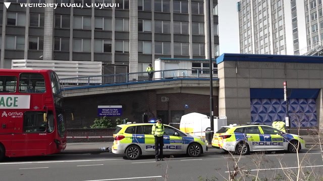 Teenage girl stabbed to death during rush hour in south London
