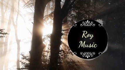 Daniel Levi - Honey [NCS Release]