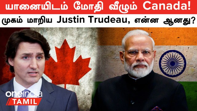 India என்னும் யானையிடம் மோதி, வீழும் Canada! முகம் மாறிய Justin Trudeau | Oneindia Tamil