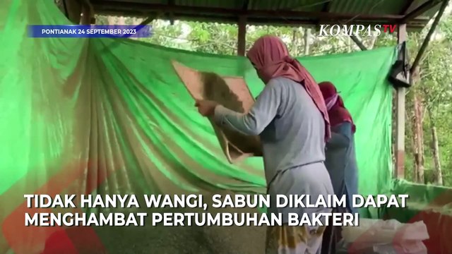 Mahasiswa di Pontianak, Sukses Olah Ekstrak Kratom Menjadi Sabun Siap Pakai