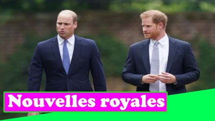 Le dévoilement de la statue de Diana est doux-amer alors que William et Harry mettent leurs différen