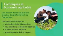 C'est quoi un technicien supérieur du ministère chargé de l'agriculture ?