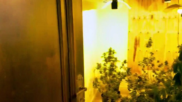 PCPR prende em flagrante quatro homens e apreende drogas em Curitiba e RMC