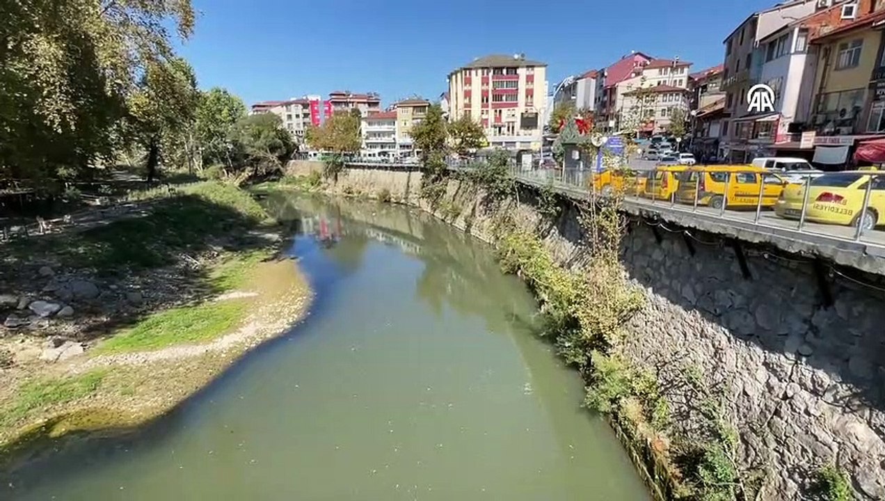 Les décès de poissons dans la rivière Bartın ont été examinés