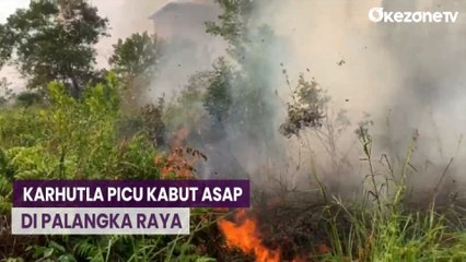 Maraknya Karhutla Picu Kabut Asap di Palangka Raya, Warga Mulai Terserang ISPA