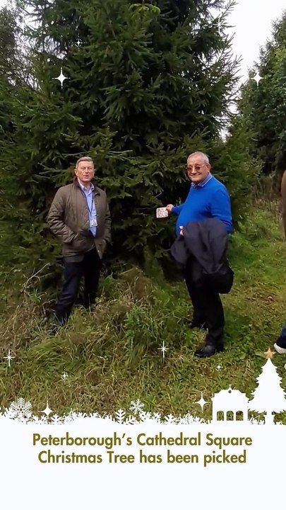 Cathedral Square Christmas tree