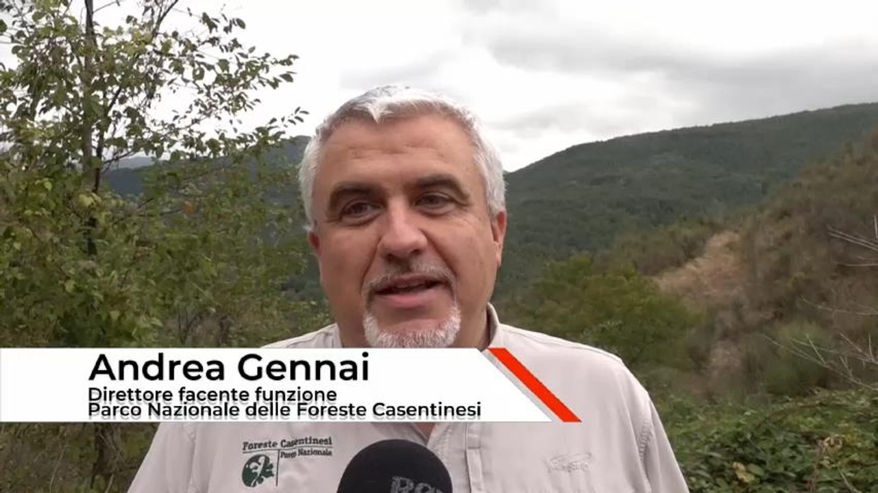 Gennai: "Censire il cervo grazie al bramito"