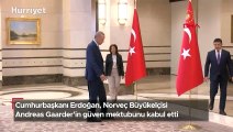 Norveç'in büyükelçisinden Cumhurbaşkanı Erdoğan'a güven mektubu