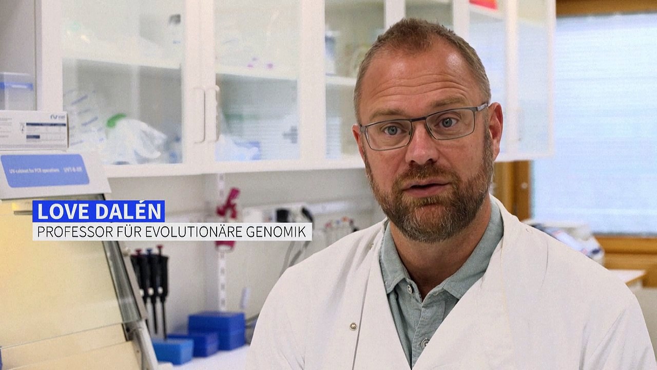 Forscher isolieren Erbgut von ausgestorbenem Beutelwolf