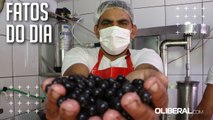 Açaí está mais barato em Belém, aponta Dieese