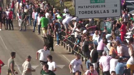 Un herido grave en el primer encierro de Olmedo