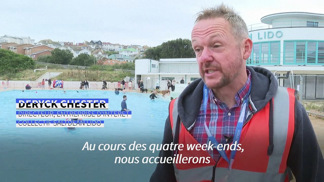 Angleterre : en septembre, chiens et maîtres s'emparent d'une piscine en plein air