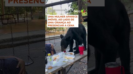 Urso interrompe piquenique e devora toda a comida de família no México
