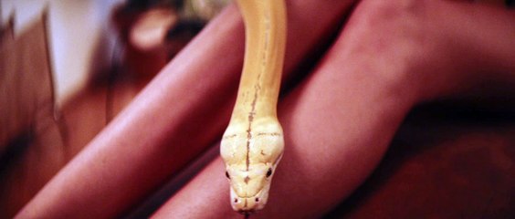 playing white snakes with good girl