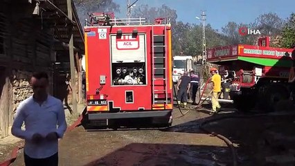 Yatalak kadın yangında feci şekilde can verdi