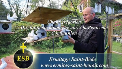 Communion Tollite hostias du 18e dimanche après la Pentecôte - Ermitage Saint-Bède - Jean-Claude Guerguy pour Ciné Art Loisir.