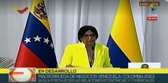 Vicepresidenta de Venezuela promueve complementación de nexos binacionales