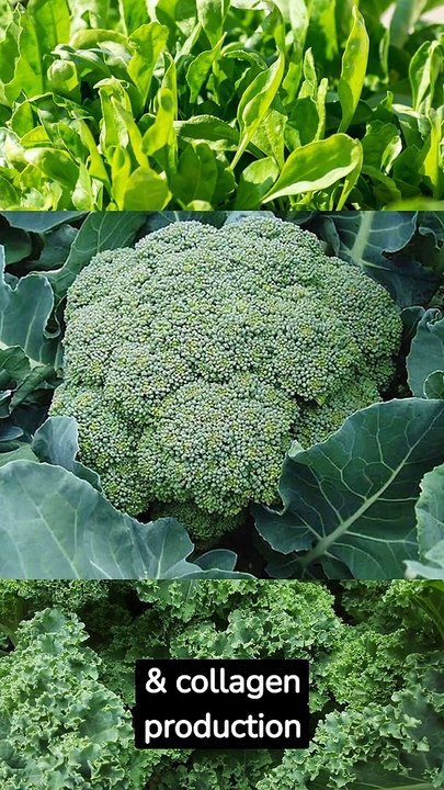 Top 10 Best Foods For Anti Aging