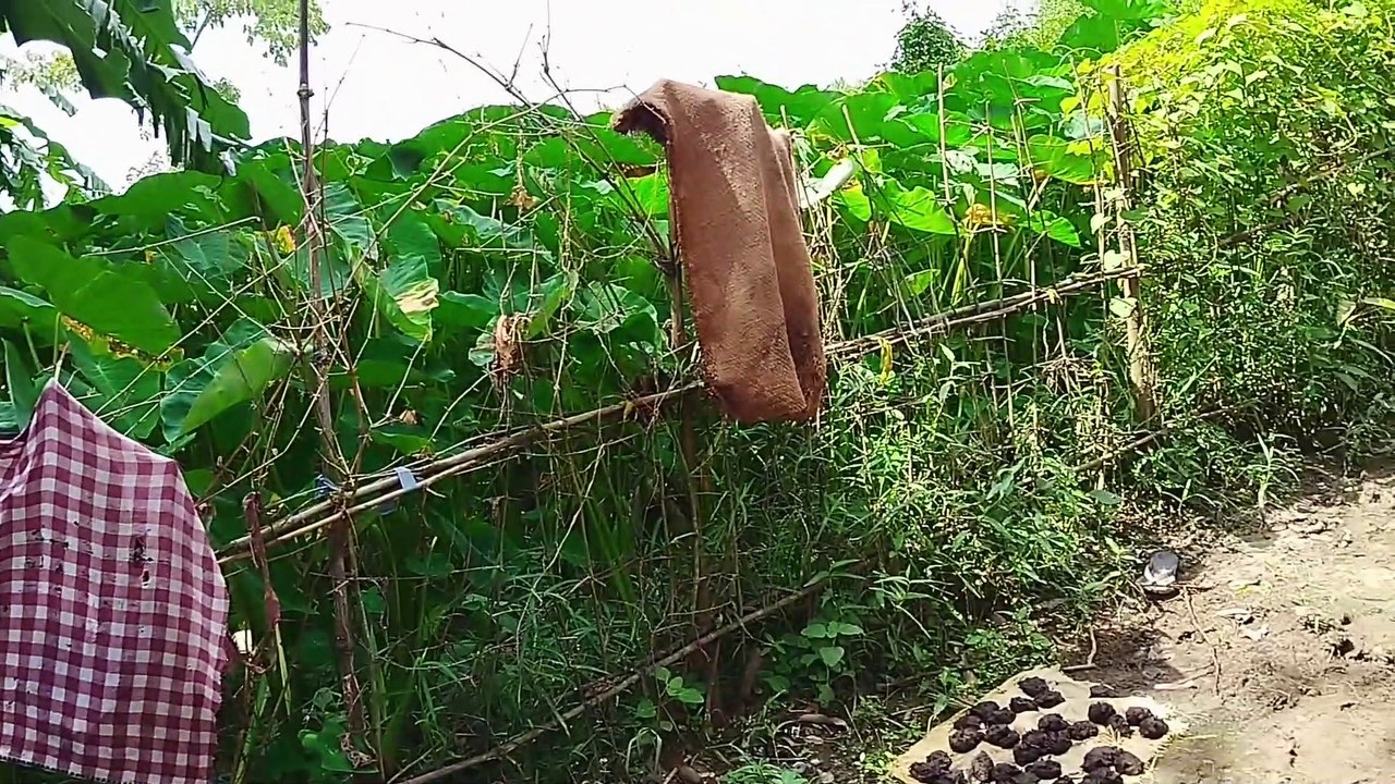 ଗଣେଶ ପୂଜା