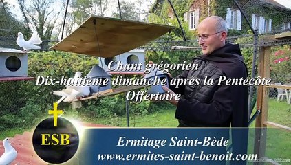 Offertoire Sanctificavit du 18e dimanche après la Pentecôte - Ermitage Saint-Bède - Jean-Claude Guerguy pour Ciné Art Loisir