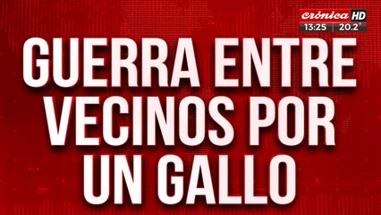 Guerra entre vecinos por el canto de un gallo