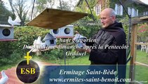 Graduel Lætatus sum du 18e dimanche après la Pentecôte - Ermitage Saint-Bède - Ciné Art Loisir