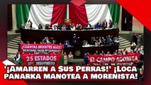 ¡VEAN! ¡Amarren a sus perras! ¡Loca Panarka suelta manazo a morenista y es defendida por compañera!