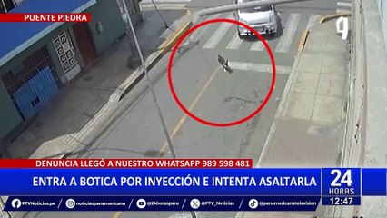 Crueldad animal: Conductor atropella a perrito y luego lo abandona