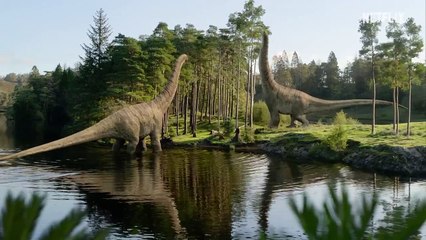 A Vida no Nosso Planeta | Trailer oficial | Netflix