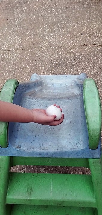 Egg - Slide Test