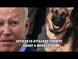 Biden dog Commander bites another Secret Service agent