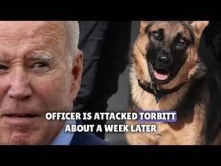 Biden dog Commander bites another Secret Service agent