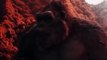 GODZILLA x KONG_ The New Empire - First Trailer (2024) Warner Bros